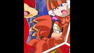 Knuckles Rouge Hardcore Cartoon Fun #2